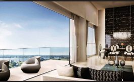 newlaunch.sg skies miltonia view