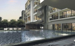 newlaunch.sg the cristallo pool
