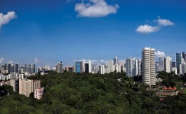 newlaunch.sg three balmoral 9