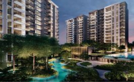 newlaunch.sg park colonial perspective
