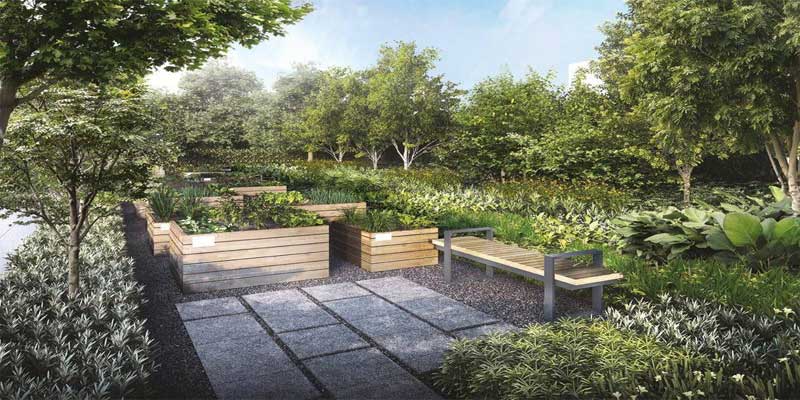 newlaunch.sg parc greenwich herb garden