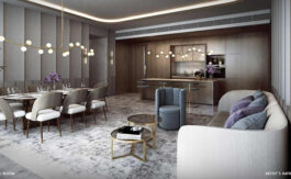 newlaunch.sg tmw maxwell living