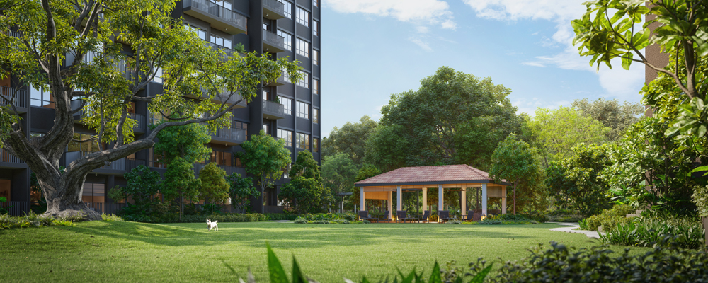 newlaunch.sg lentor mansion grand-lawn