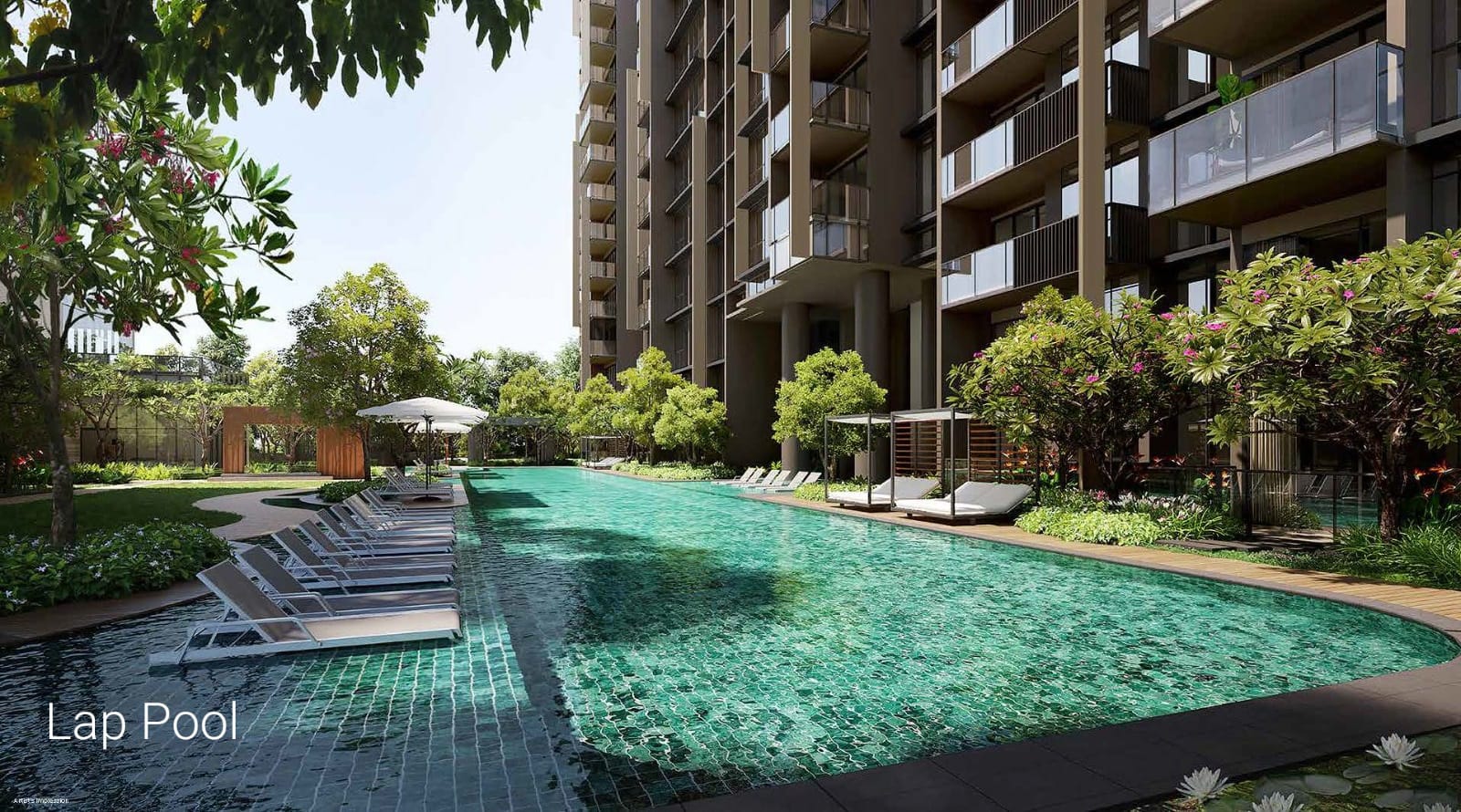 newlaunch.sg lentor central residences pool day